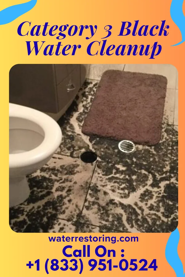 Category 3 Black Water Cleanup in Nettle Lake, OH
