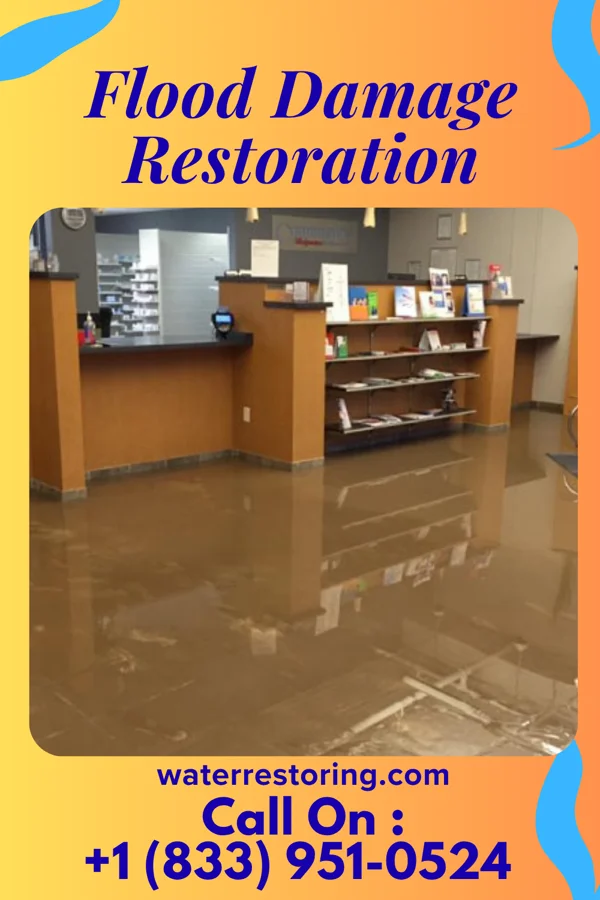 Flood Damage Restoration in Nettle Lake, OH