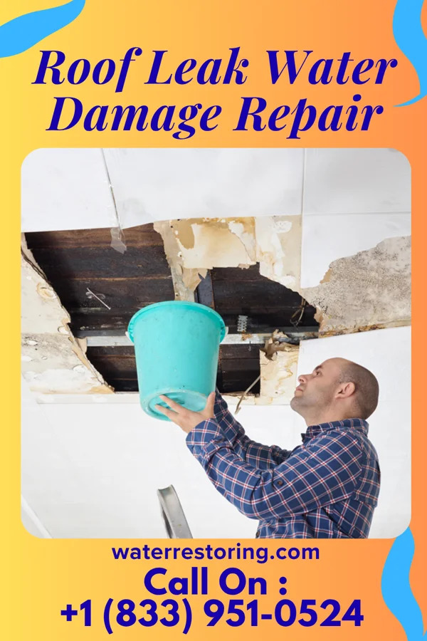 Roof Leak Water Damage Repair in Nettle Lake, OH