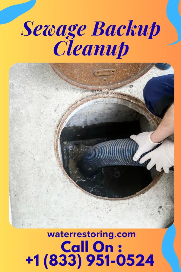 Sewage Backup Cleanup in Nettle Lake, OH